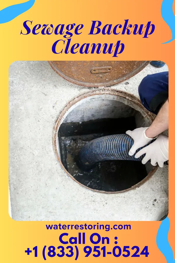 Sewage Backup Cleanup in Utica, MO